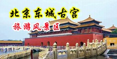 外国网站操比视频中国北京-东城古宫旅游风景区